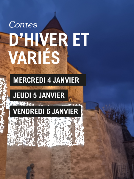 Photo du château de Grandson en hiver